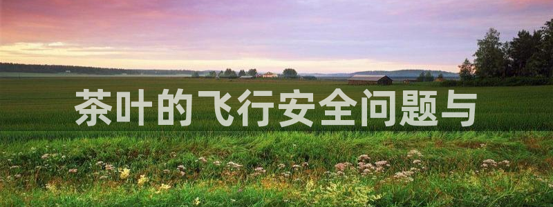 龙八国际有没有假