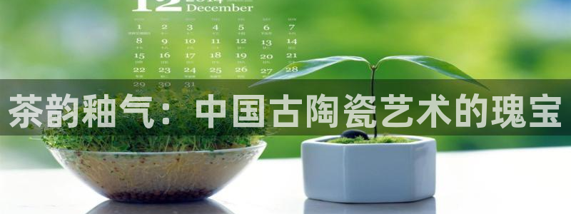 龙八国际网b48点tv