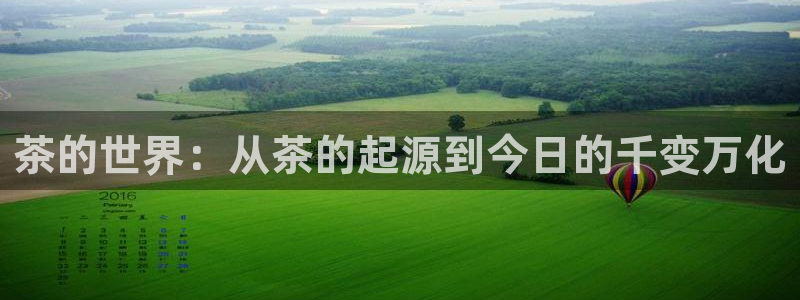 项目名称龙八国际