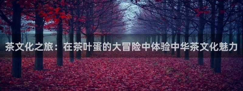 龙八国际app骗局