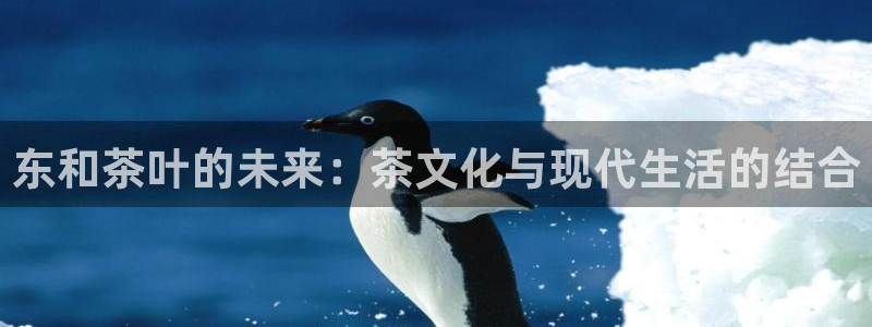 龙八国际有没有假