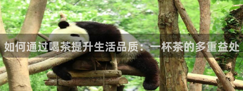 龙八国际客户端下载安装