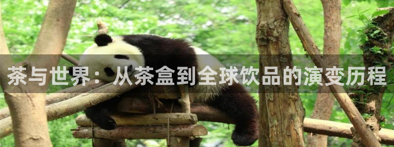 龙八国际app电话号码