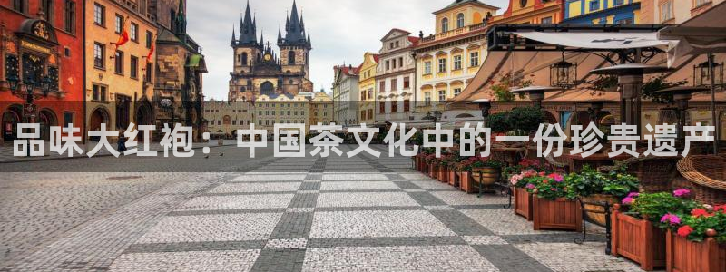 龙八国际下载app苹果