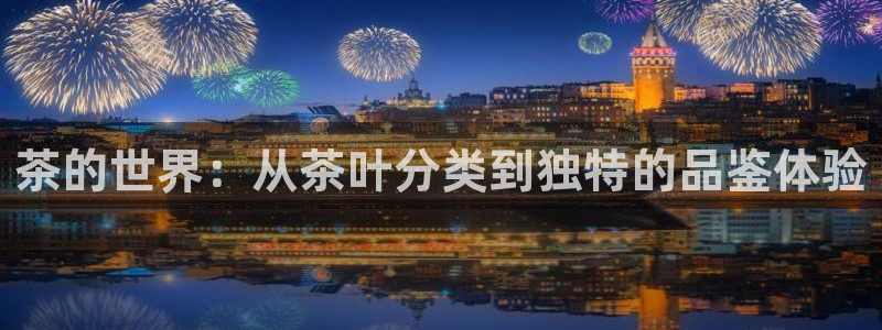 龙八国际登录密码