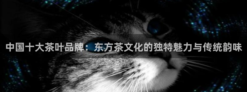 龙八国际游戏视频