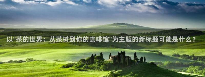 龙八国际娱乐网页多少