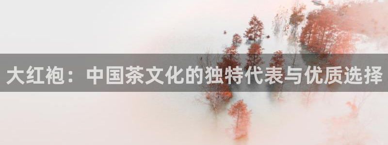 龙八国际手机版下载安卓