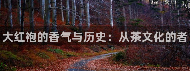 菲律宾龙八国际