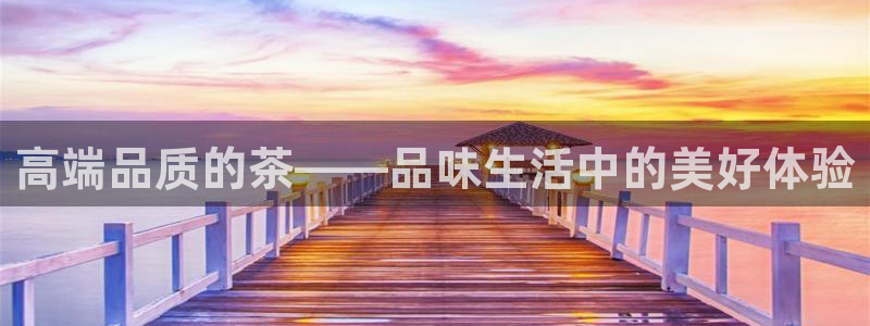 龙八国际app手机版下载安卓