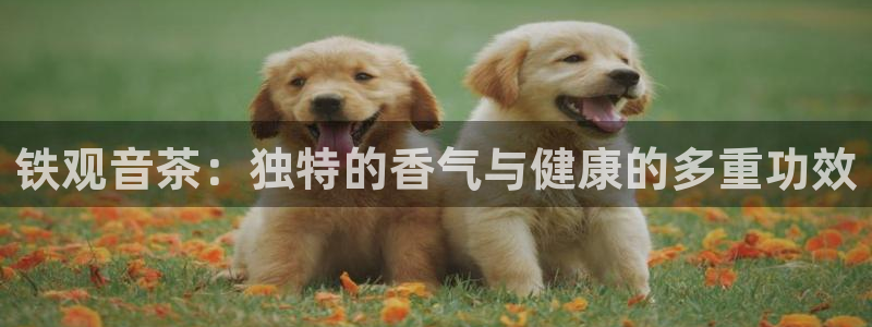 龙八国际网站手机版