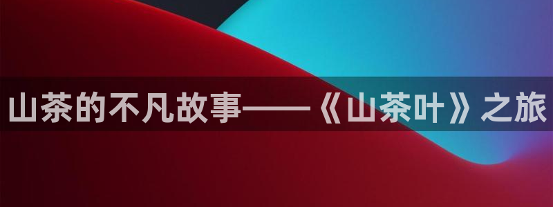 龙八国际版游戏