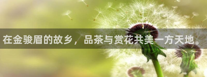 龙八国际管网登陆