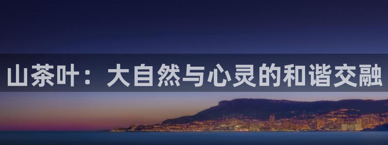 手机版龙八国际服客服