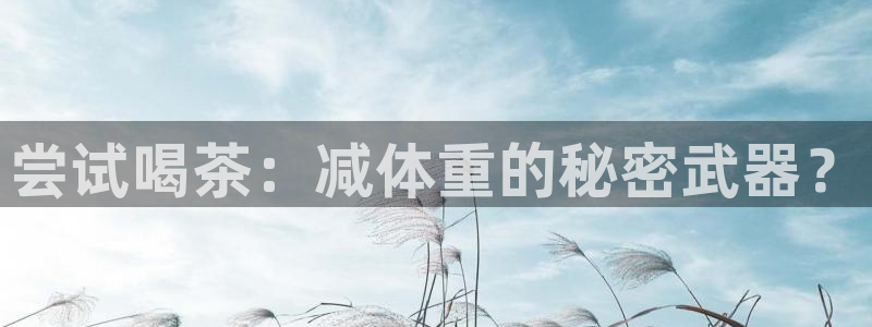 龙八国际网页版