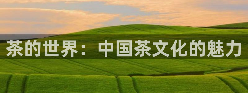 龙八国际娱乐客服