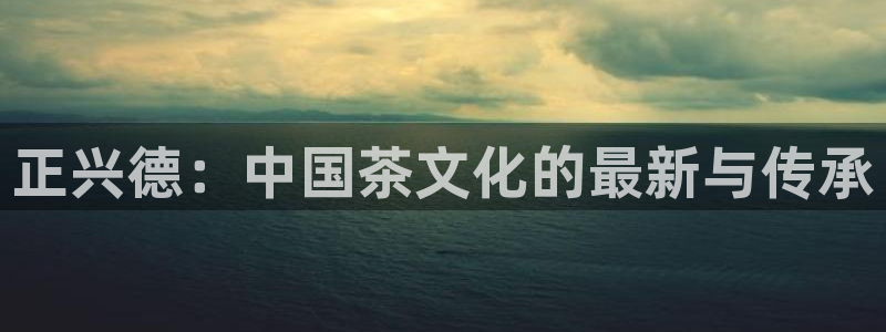 龙八国际赌博经验