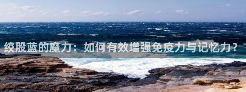 龙八国际官方娱乐网站com