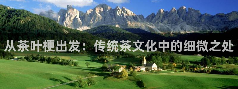 龙八国际官方手游