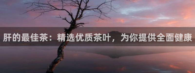 龙八国际是个什么游戏机