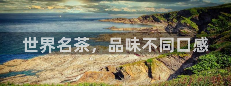 龙八国际贸易有限公司