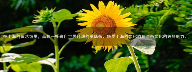 龙八国际网页版本