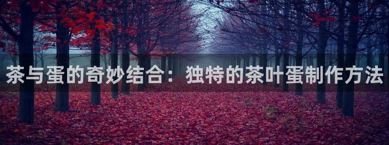 龙八国际不支持苹果手机