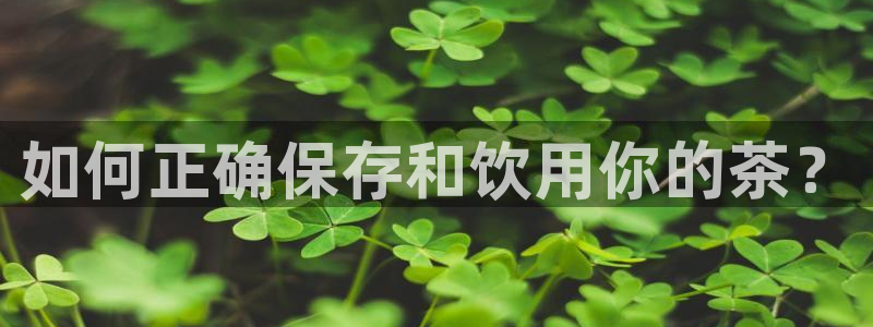 龙八国际我要登录