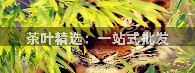 下载龙八国际官网