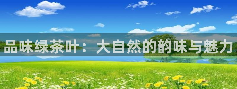 龙八国际网q18点tv