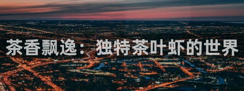 龙八国际打开页面