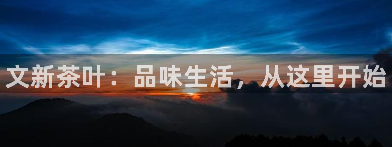 龙八国际赌博经验