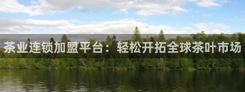 龙八国际官网入口