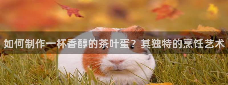 龙八国际平台yb48点top