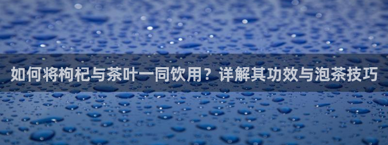 龙八国际平台手机版