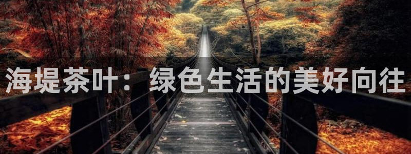 龙八国际官网入口