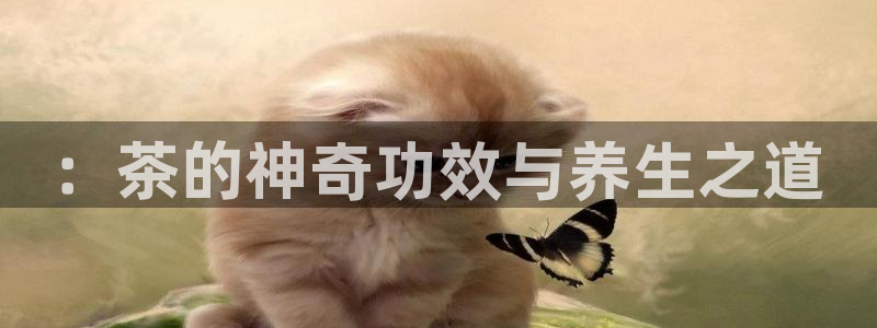 龙八国际app下载安装