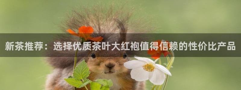 龙八国际客户端下载安装