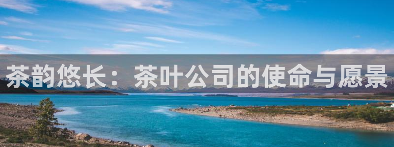 龙八国际有没有假