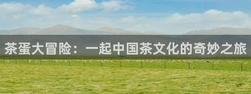 龙八国际娱乐场