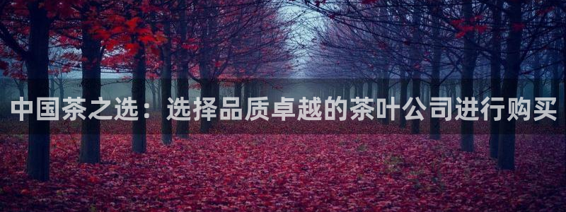 龙八国际手机版下载安装app