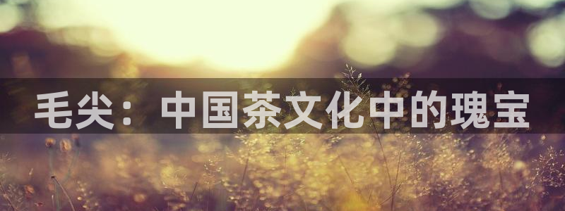 龙八国际苹果版