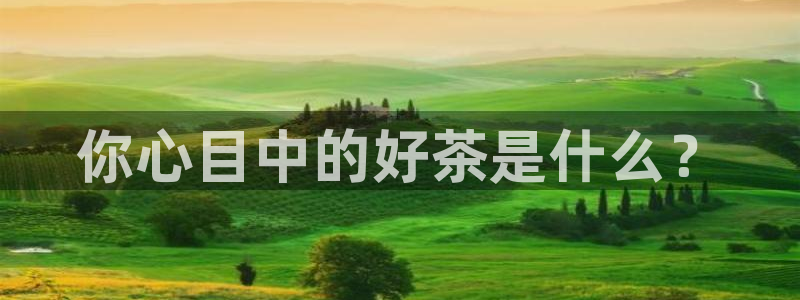 龙八国际手机客户端下载