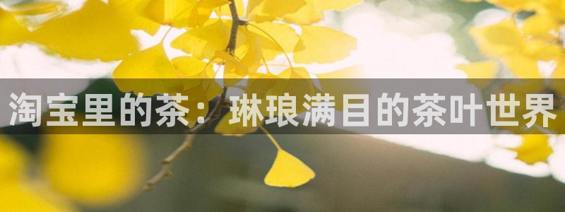 龙八国际头号玩家是谁