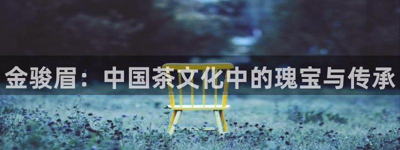 龙八国际手机游戏官网