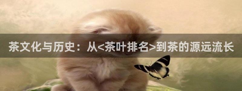 龙八国际app官网