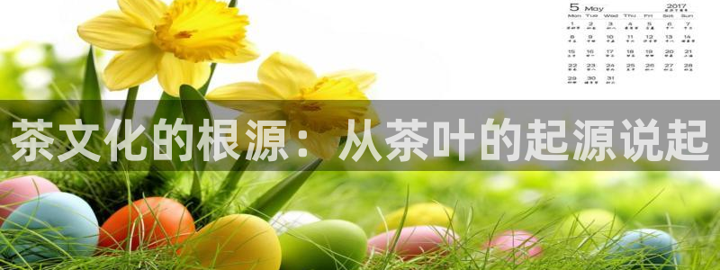 龙八国际娱乐场