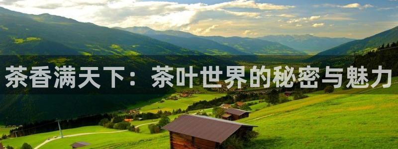 龙八国际娱乐dt 和老虎机