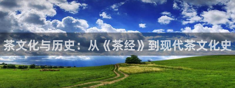 龙八国际平台安卓