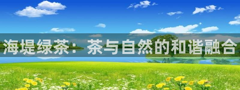 龙八国际客户端pt